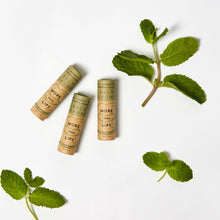 Load image into Gallery viewer, Minty Fresh - Value Pack of 10