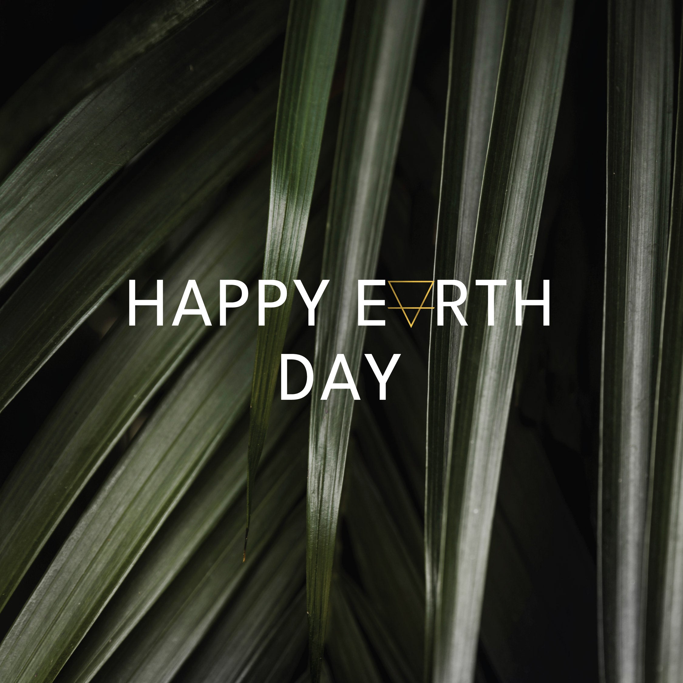 Happy Earth Day