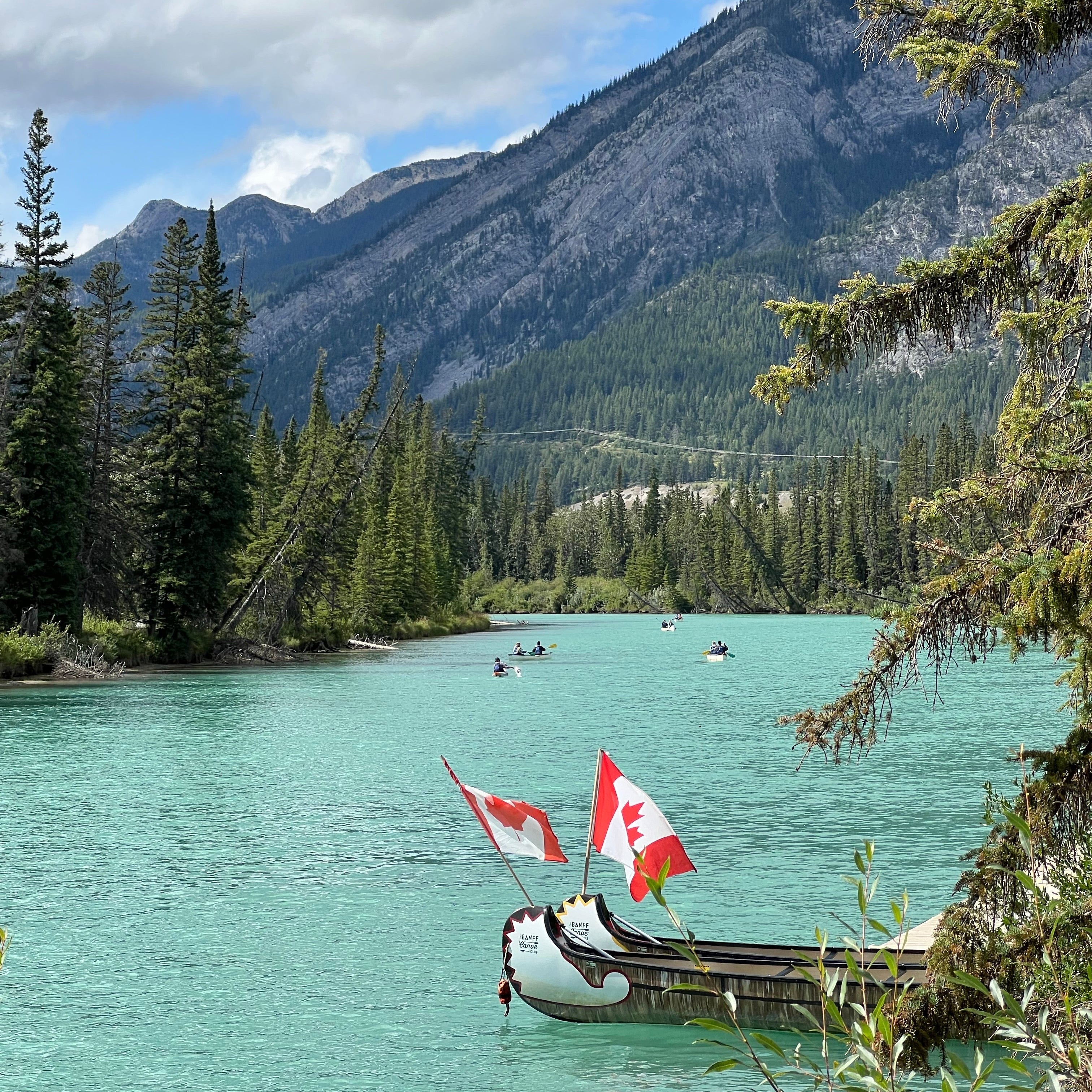 Supporting Local: The Best Canadian Beauty Brands to Shop Now